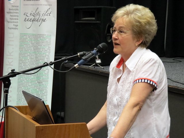 Bihari Értékek turisztikai szakmai délelőtt 38